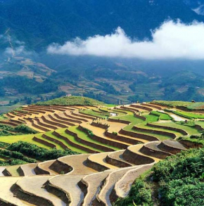 Sapa Homestay Trekking Tour For Backpackers